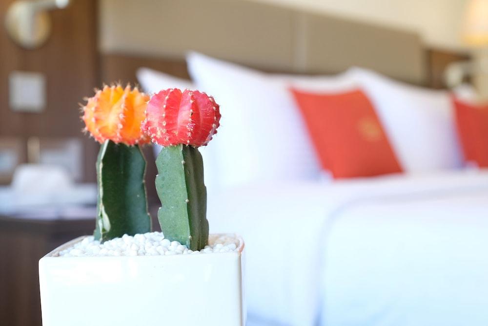 Sodeco Suites Βηρυτός Εξωτερικό φωτογραφία